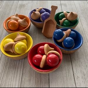 Rainbow Wooden Acorn and Bowls Sorting Set